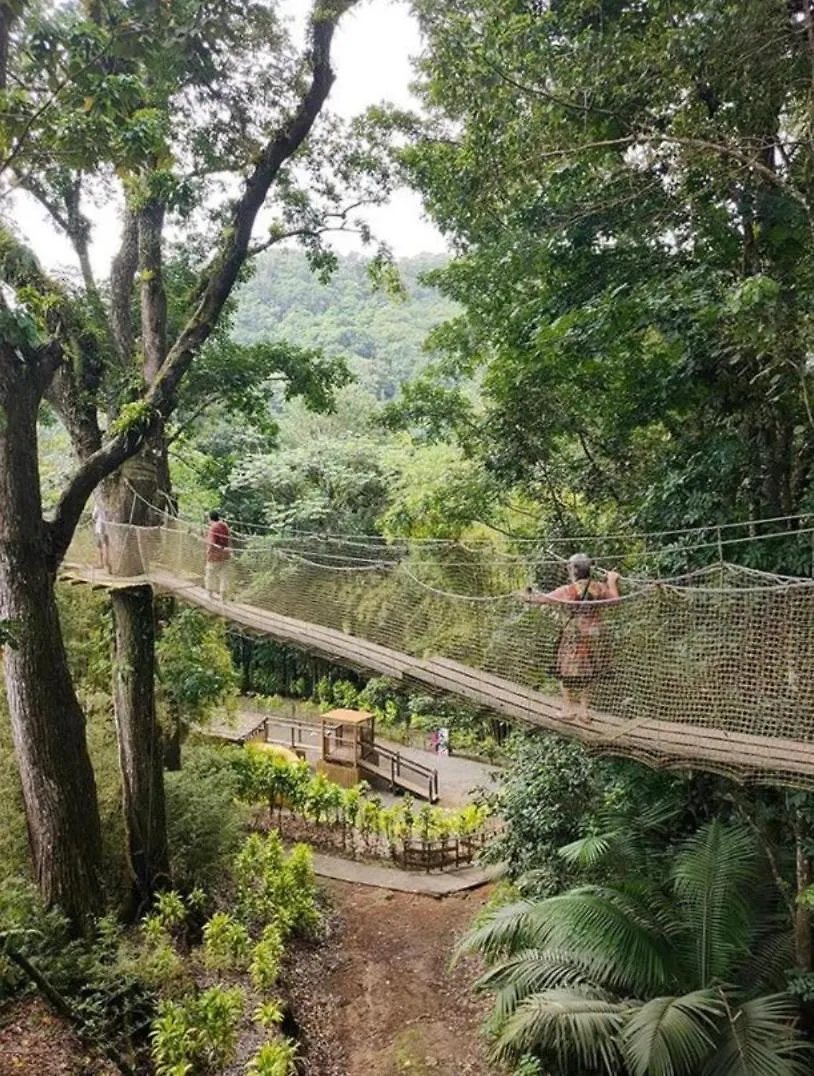 Apartment Le Nid Des Colibris, Charmant T3 Spacieux Et Paisible, Votre Refuge Ideal Pour Un Sejour Memorable Entre Ville, Plages & Cascades Fort-de-France Martinique